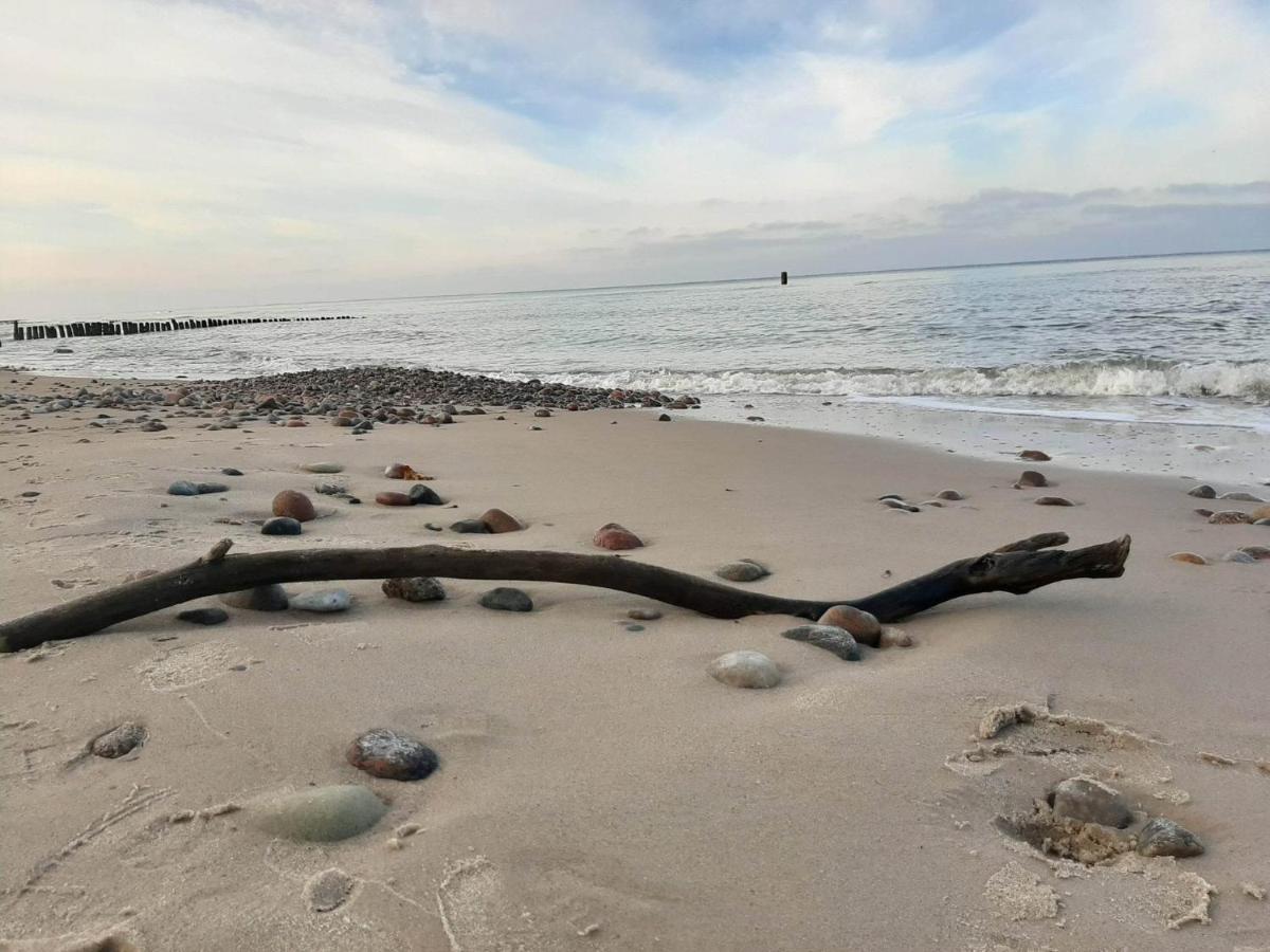 Gaskowelove Gąski Exteriör bild